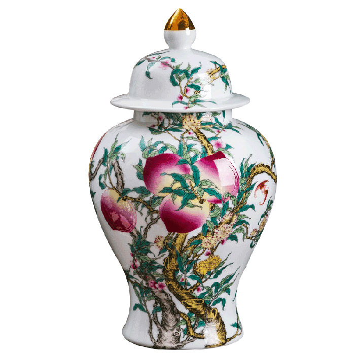 porcelaine for Jahrriesnge cna0417 Compatible porcelaine Jahrriesnge for cna0417