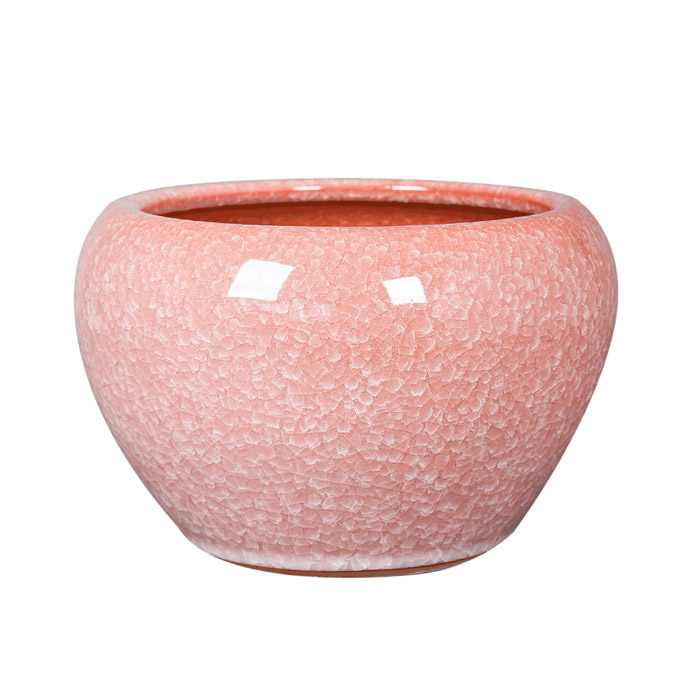 porcelaine for Jahrriesnge cna1269 Compatible porcelaine Jahrriesnge for cna1269