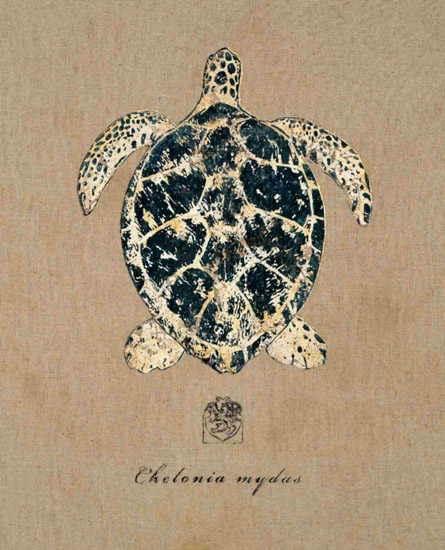Nature morte for Jahrriesnge tortoise-lpf00179 Compatible Nature morte Jahrriesnge for tortoise-lpf00179