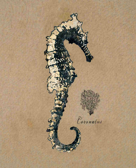 Nature morte for Jahrriesnge seahorse-lpf00180 Compatible Nature morte Jahrriesnge for seahorse-lpf00180