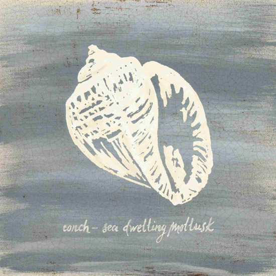 Nature morte for Jahrriesnge conch-lpf00184 Compatible Nature morte Jahrriesnge for conch-lpf00184