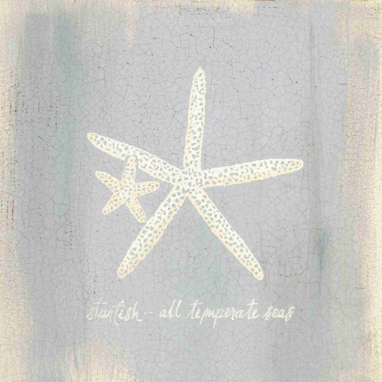 Nature morte for Jahrriesnge starfish-lpf00185 Compatible Nature morte Jahrriesnge for starfish-lpf00185