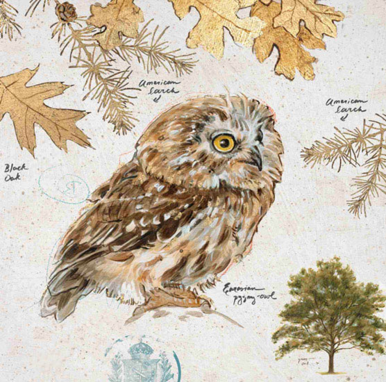 Nature morte for Jahrriesnge owl-lpf00191 Compatible Nature morte Jahrriesnge for owl-lpf00191