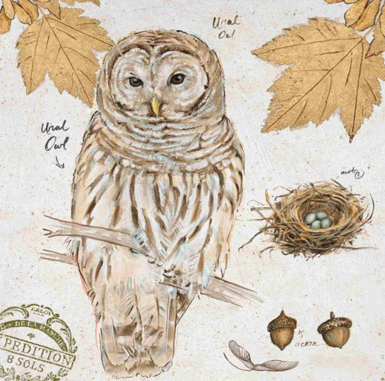 Nature morte for Jahrriesnge owl-lpf00192 Compatible Nature morte Jahrriesnge for owl-lpf00192