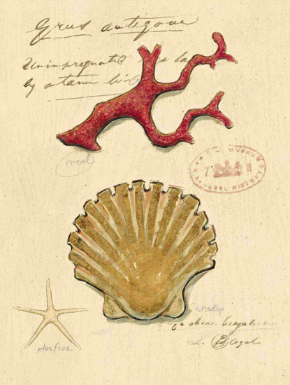 Nature morte for Jahrriesnge shell-lpf00196 Compatible Nature morte Jahrriesnge for shell-lpf00196