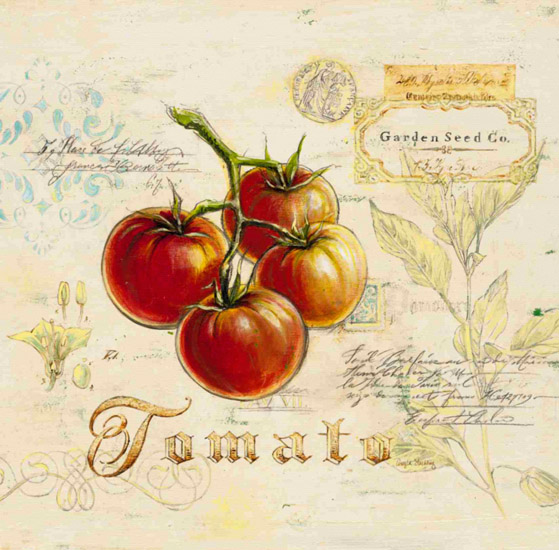 Nature morte for Jahrriesnge tomato-lpf00277 Compatible Nature morte Jahrriesnge for tomato-lpf00277
