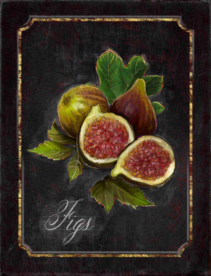Nature morte for Jahrriesnge figs-lpf00442 Compatible Nature morte Jahrriesnge for figs-lpf00442