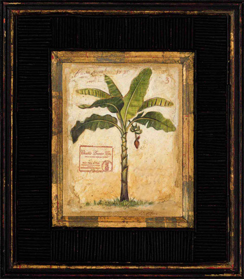 Nature morte for Jahrriesnge banana-tree-lpf00450 Compatible Nature morte Jahrriesnge for banana-tree-lpf00450