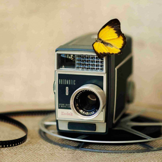 Nature morte for Jahrriesnge untitle-lpf00524 Compatible Nature morte Jahrriesnge for untitle-lpf00524