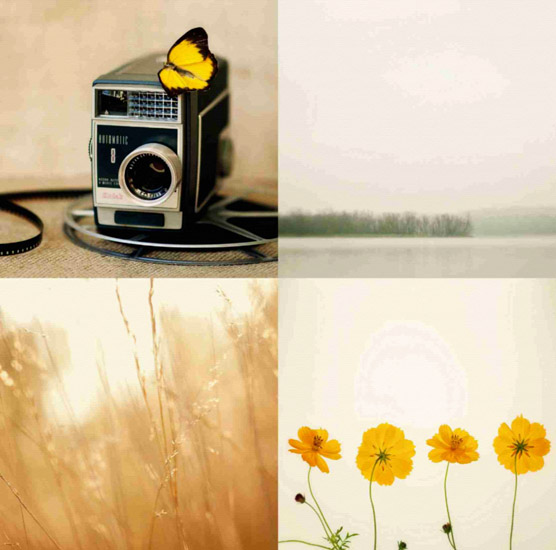 Nature morte for Jahrriesnge untitle-lpf00525 Compatible Nature morte Jahrriesnge for untitle-lpf00525