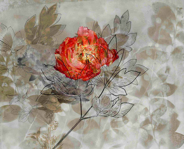 Floral for Jahrriesnge flower-lpf00562 Compatible Floral Jahrriesnge for flower-lpf00562