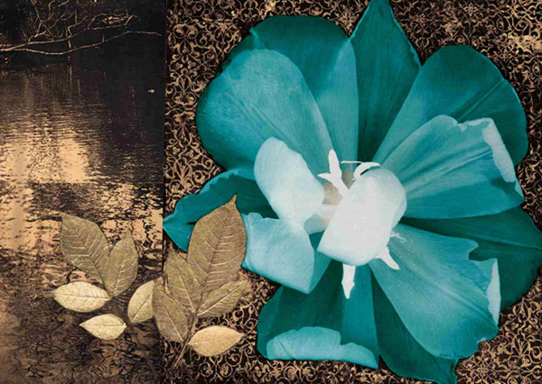 Floral for Jahrriesnge flower-lpf00567 Compatible Floral Jahrriesnge for flower-lpf00567
