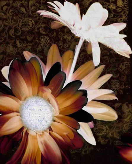 Floral for Jahrriesnge flower-lpf00570 Compatible Floral Jahrriesnge for flower-lpf00570