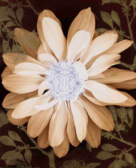 Floral for JAHRRIESNGE flower-lpf00571 Compatible Floral JAHRRIESNGE for flower-lpf00571