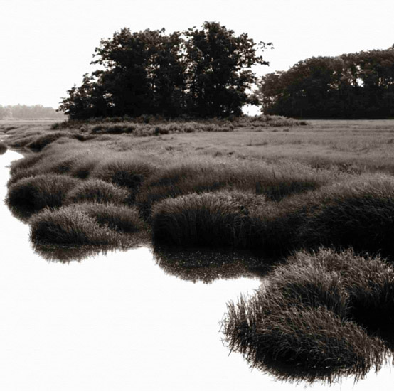 Paysage for Jahrriesnge untitle-lpf00775 Compatible Paysage Jahrriesnge for untitle-lpf00775
