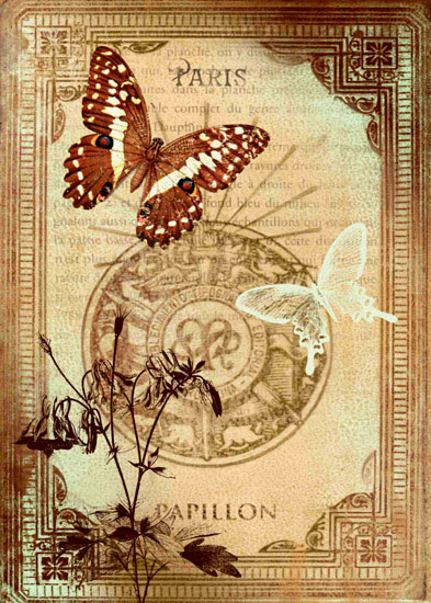 Paysage for Jahrriesnge butterfly-lpf00819 Compatible Paysage Jahrriesnge for butterfly-lpf00819