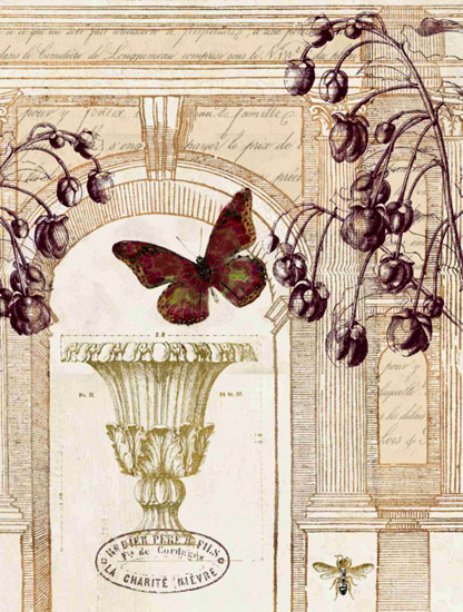 Paysage for Jahrriesnge butterfly-lpf00840 Compatible Paysage Jahrriesnge for butterfly-lpf00840