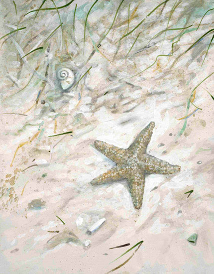 Paysage for Jahrriesnge seastar-lpf00844 Compatible Paysage Jahrriesnge for seastar-lpf00844