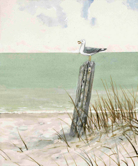Paysage for Jahrriesnge bird-watching-lpf00847 Compatible Paysage Jahrriesnge for bird-watching-lpf00847