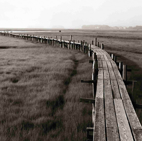 Paysage for Jahrriesnge wooden-bridge-lpf00851 Compatible Paysage Jahrriesnge for wooden-bridge-lpf00851