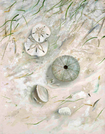 Paysage for Jahrriesnge shell-lpf00862 Compatible Paysage Jahrriesnge for shell-lpf00862