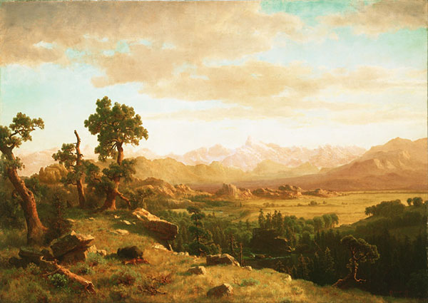 Paysage for JAHRRIESNGE dusk-lpf00978 Compatible Paysage JAHRRIESNGE for dusk-lpf00978