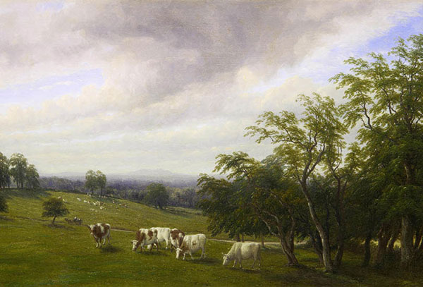 Paysage for JAHRRIESNGE land-lpf01227 Compatible Paysage JAHRRIESNGE for land-lpf01227