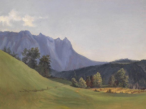 Paysage for JAHRRIESNGE hill-lpf01251 Compatible Paysage JAHRRIESNGE for hill-lpf01251