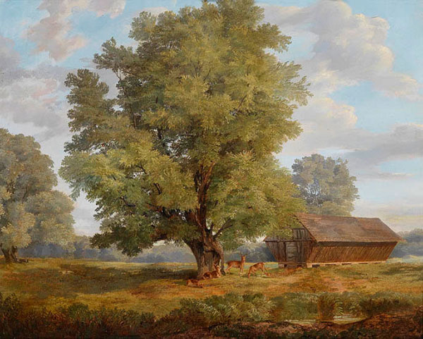 Paysage for JAHRRIESNGE tree-lpf01287 Compatible Paysage JAHRRIESNGE for tree-lpf01287