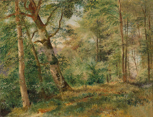 Paysage for JAHRRIESNGE tree-lpf01471 Compatible Paysage JAHRRIESNGE for tree-lpf01471