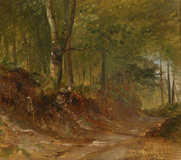 Paysage for JAHRRIESNGE forest-lpf01549 Compatible Paysage JAHRRIESNGE for forest-lpf01549