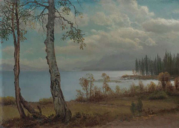 Paysage for JAHRRIESNGE sea-lpf01553 Compatible Paysage JAHRRIESNGE for sea-lpf01553