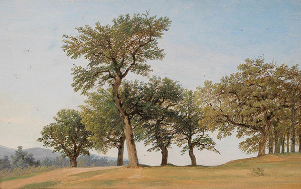 Paysage for JAHRRIESNGE tree-lpf01635 Compatible Paysage JAHRRIESNGE for tree-lpf01635