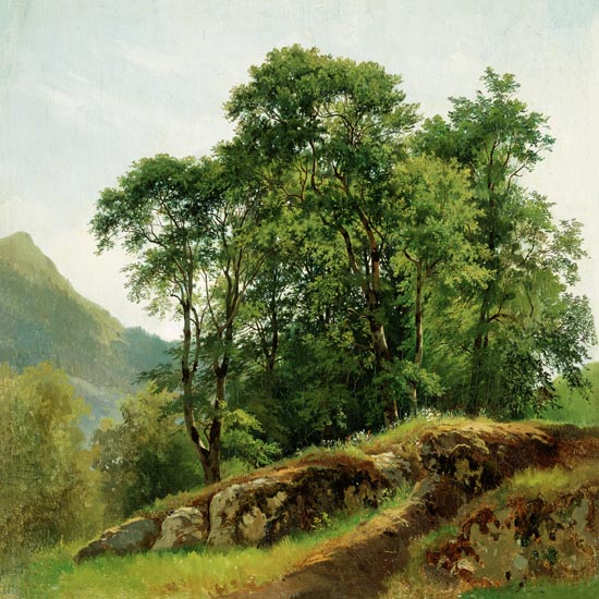 Paysage for JAHRRIESNGE tree-lpf01689 Compatible Paysage JAHRRIESNGE for tree-lpf01689