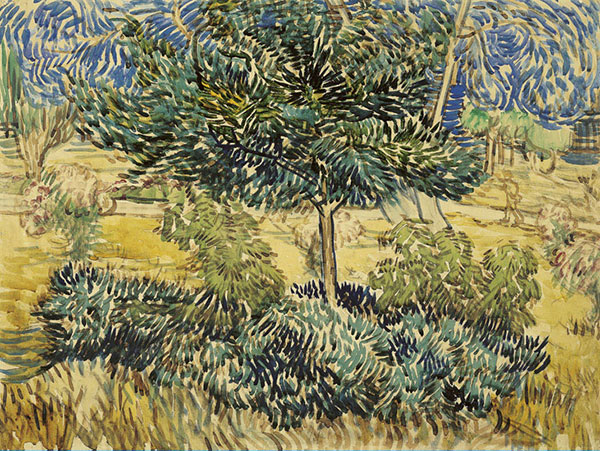 Paysage for Jahrriesnge tree-lpf02474 Compatible Paysage Jahrriesnge for tree-lpf02474