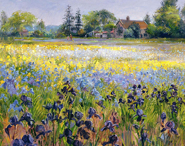 Paysage for JAHRRIESNGE flower-field-lpf02501 Compatible Paysage JAHRRIESNGE for flower-field-lpf02501