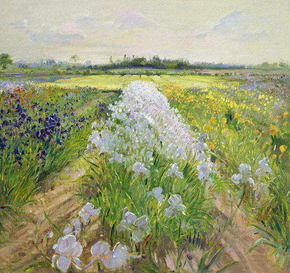 Paysage for JAHRRIESNGE flower-field-lpf02504 Compatible Paysage JAHRRIESNGE for flower-field-lpf02504