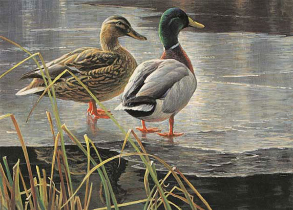 Animaux for Jahrriesnge duck-lpf02523 Compatible Animaux Jahrriesnge for duck-lpf02523