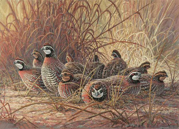 Animaux for Jahrriesnge pheasant-lpf02525 Compatible Animaux Jahrriesnge for pheasant-lpf02525