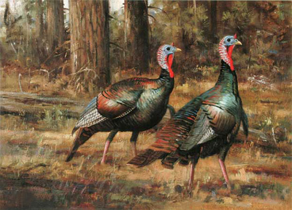 Animaux for Jahrriesnge Turkey-lpf02526 Compatible Animaux Jahrriesnge for Turkey-lpf02526
