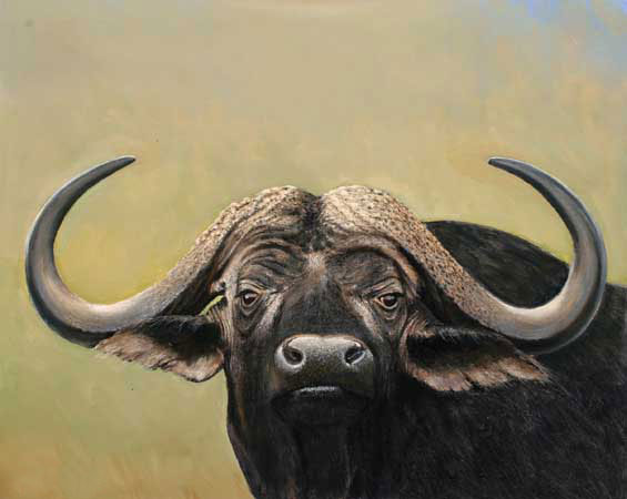 Animaux for Jahrriesnge bison-lpf02535 Compatible Animaux Jahrriesnge for bison-lpf02535