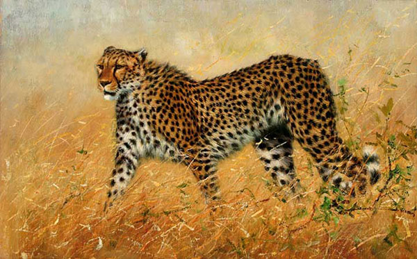 Animaux for Jahrriesnge leopard-lpf02538 Compatible Animaux Jahrriesnge for leopard-lpf02538
