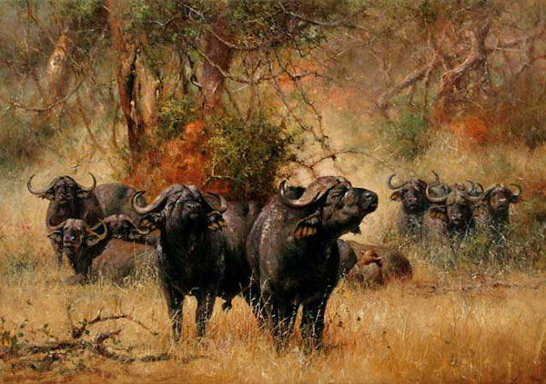 Animaux for Jahrriesnge bison-lpf02540 Compatible Animaux Jahrriesnge for bison-lpf02540