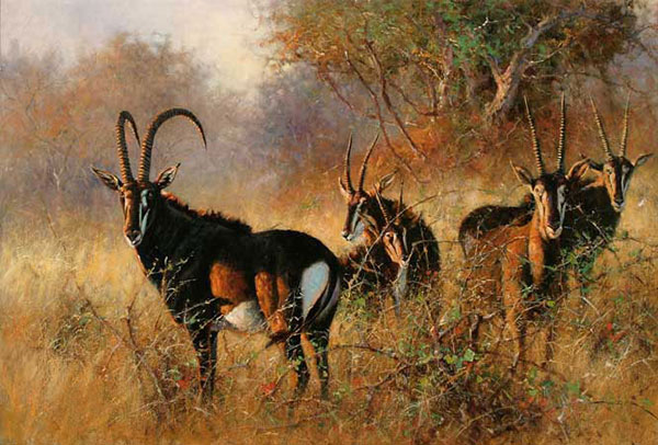 Animaux for Jahrriesnge antelope-lpf02541 Compatible Animaux Jahrriesnge for antelope-lpf02541