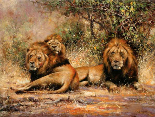 Animaux for Jahrriesnge lions-lpf02543 Compatible Animaux Jahrriesnge for lions-lpf02543
