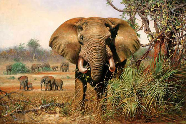 Animaux for Jahrriesnge elephant-lpf02544 Compatible Animaux Jahrriesnge for elephant-lpf02544