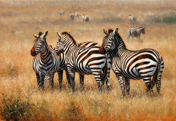 Animaux for Jahrriesnge African-Zebra-lpf02545 Compatible Animaux Jahrriesnge for African-Zebra-lpf02545