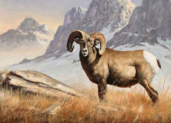 Animaux for Jahrriesnge bighorn-sheep-lpf02546 Compatible Animaux Jahrriesnge for bighorn-sheep-lpf02546