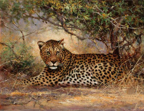 Animaux for Jahrriesnge Leopard-lpf02547 Compatible Animaux Jahrriesnge for Leopard-lpf02547