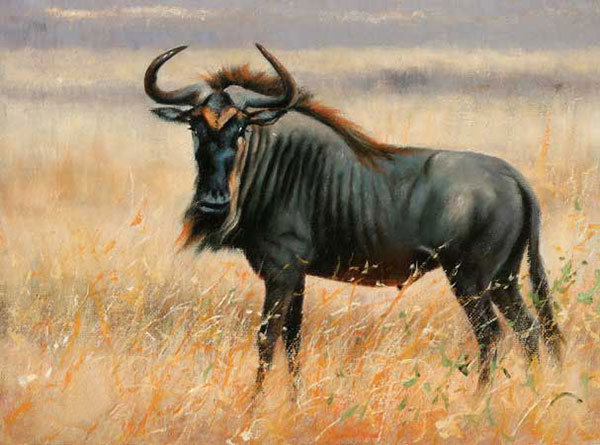 Animaux for Jahrriesnge wildebeest-lpf02552 Compatible Animaux Jahrriesnge for wildebeest-lpf02552